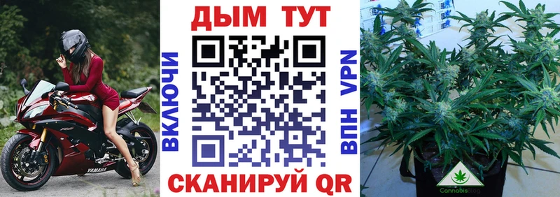 Канабис планчик  нарко площадка клад  Полярный  купить наркотики сайты  MEGA ССЫЛКА 